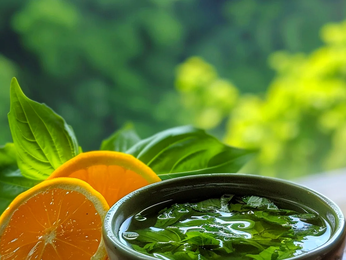 Exquis Délice de Sirop Agrumes Basilic