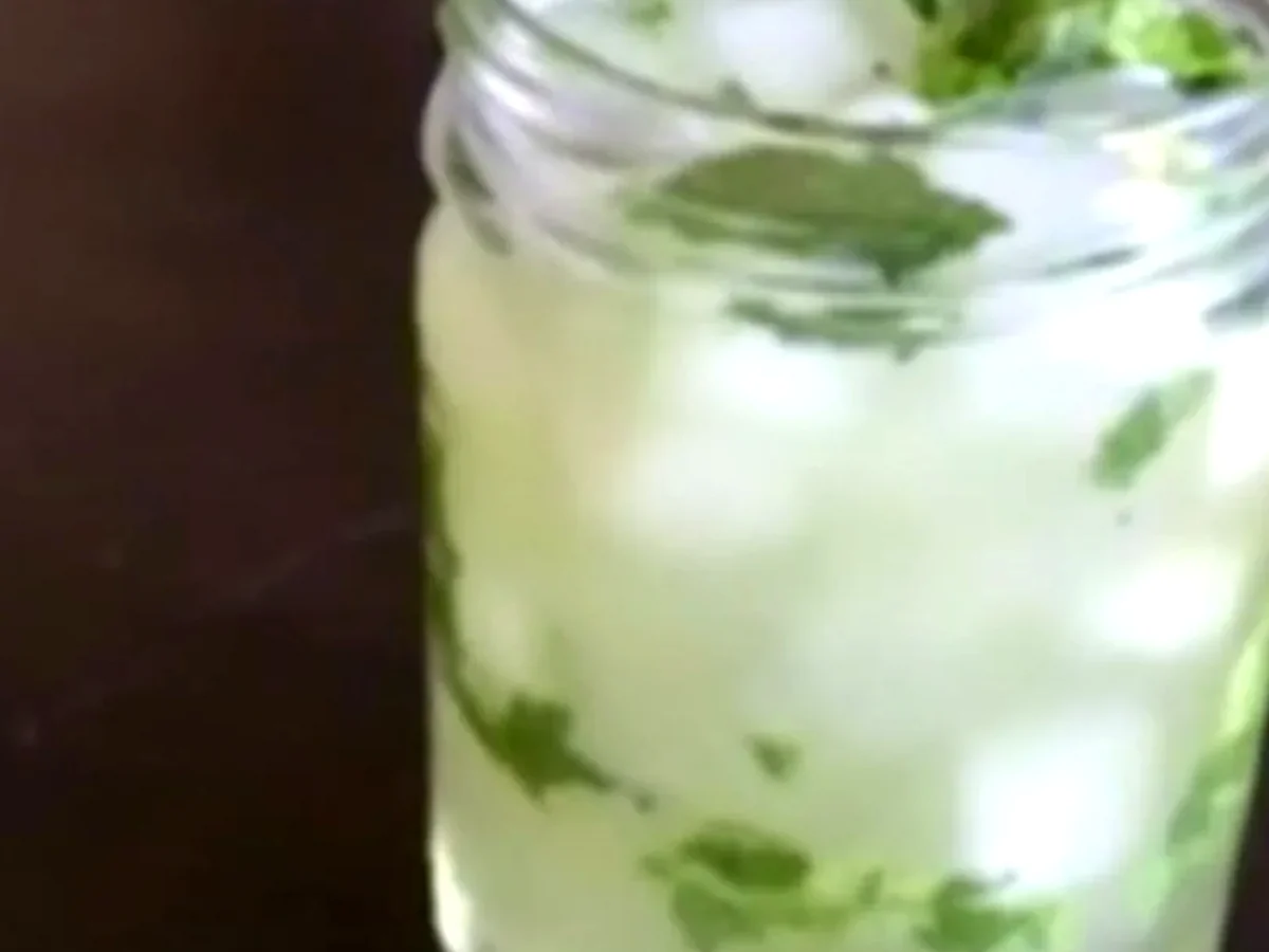 Parfait Chutney de pomme verte et menthe zesté